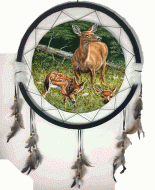 24" Mandala Deer (6 Assortment)