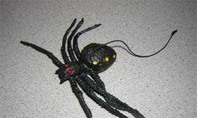 Rubber Spiders (48 in a bag)