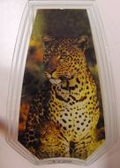 Jaguar Touch Lamp Glass