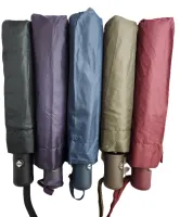 Compact Collapsible Umbrella (Auto Open/Close)