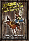 12 x 17 Metal Sign "Horses Two Things"