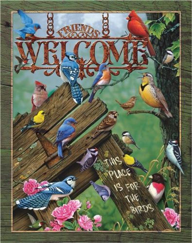 Welcome Birds