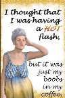 12x16 Metal Sign "Hot Flash"