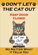 8"x12" Metal Sign "Don't Let Cat Out"