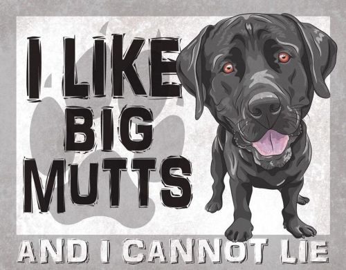 Like Big Mutts