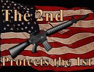 8x12 Metal Sign "2nd Protects"