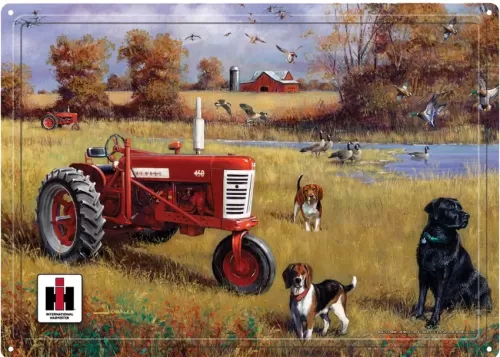 12x17 Rolled Edge Metal Sign-IH w/ Dogs