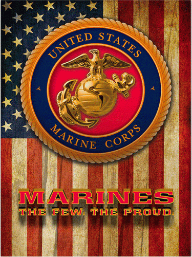 12x17 Metal Sign "Marine with Flag Background"