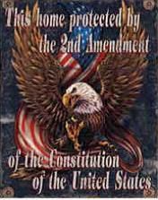 12 x 15 Metal Sign "2nd Amendment"