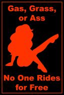 8x12 Metal Sign "No One Rides for Free"