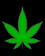 8x12 Metal Sign: Pot Leaf