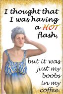 8x12 Metal Sign "Hot Flash"