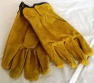 Leather Gloves