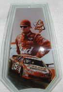 Dale Earnhardt Jr Touch Lamp Glass